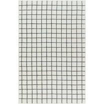 BoutiqueRugs Tauri Traditional, Transitional Area Rug - Ivory, Charcoal - 2' x 3'