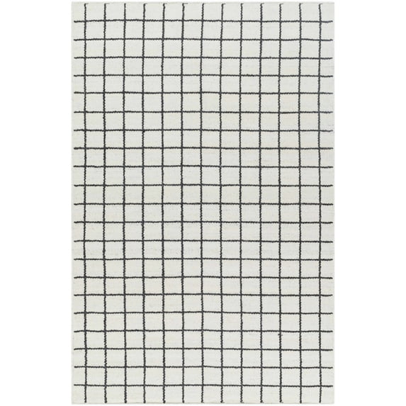 BoutiqueRugs Tauri Traditional, Transitional Area Rug - Ivory, Charcoal - 2' x 3'