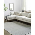 thumbnail image 1 of BoutiqueRugs Tevah Traditional, Transitional Runner Rug - Pearl, Ivory, Ash - 2'6" x 8' Runner, 1 of 6