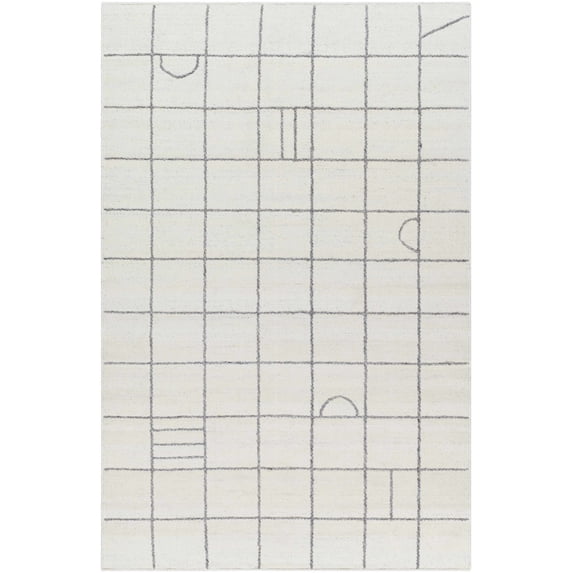 BoutiqueRugs Tieve Contemporary Area Rug - Cream, Gray - 9' x 12'