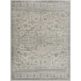 thumbnail image 1 of BoutiqueRugs Tigris Bohemian, Farmhouse, Traditional Area Rug - Gray, Ivory - 5'3" x 7', 1 of 10