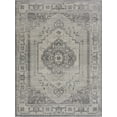 thumbnail image 1 of BoutiqueRugs Tigris Traditional, Vintage Area Rug - Gray, Ivory - 9' x 12', 1 of 10