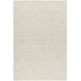 thumbnail image 1 of BoutiqueRugs Trang Traditional, Transitional Area Rug - Light Silver, Silver Gray, White - 5' x 7'6", 1 of 7