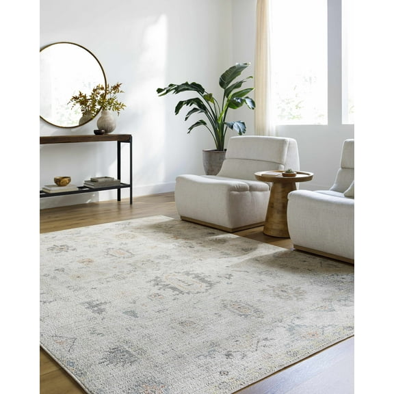 BoutiqueRugs Trina Traditional Runner Rug - Light Silver, Sterling Gray - 2'7" x 7'3" Runner