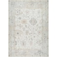thumbnail image 1 of BoutiqueRugs Valko Traditional Area Rug - Taupe, Light Gray, Gray - 7'10" x 10', 1 of 7