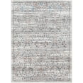 thumbnail image 1 of Boutique Rugs Vulk Traditional Runner Rug - Machine Washable - Light Gray, Taupe, Aqua - 2'6" x 10' Runner, 1 of 5