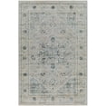 thumbnail image 1 of BoutiqueRugs Whangamata Traditional Area Rug - Medium Gray, Taupe, Light Gray - 12' x 15', 1 of 15