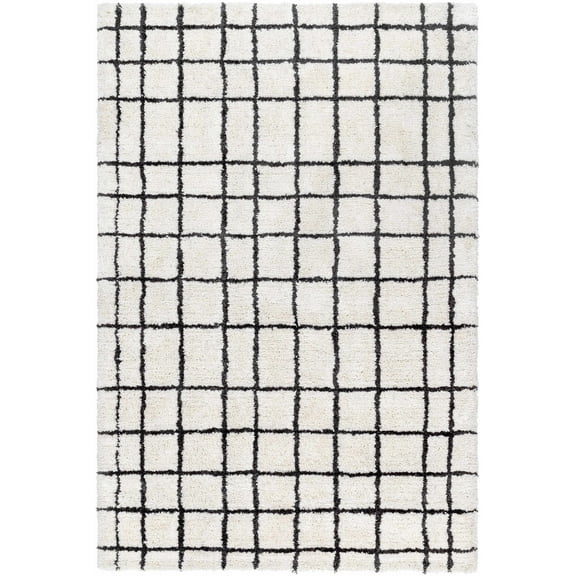BoutiqueRugs Yaotl Contemporary Area Rug - White, Black - 2' x 3'