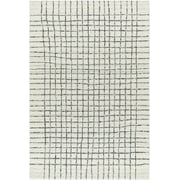 BoutiqueRugs Yates Contemporary Area Rug - Ivory, Charcoal - 2 x 3