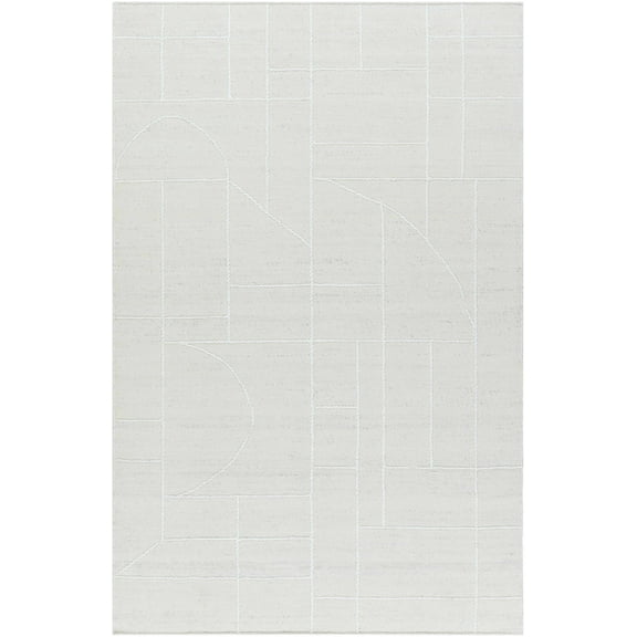 BoutiqueRugs Yvian Contemporary Area Rug - Light Silver - 2' x 3'