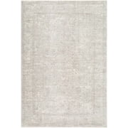 BoutiqueRugs Ailbhe Traditional Area Rug - Ivory, Taupe, Sandstone - 2 x 211