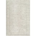 thumbnail image 1 of BoutiqueRugs Ailbhe Traditional Area Rug - Ivory, Taupe, Sandstone - 6'7" x 9'6", 1 of 1
