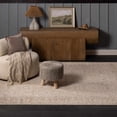 thumbnail image 1 of BoutiqueRugs Airlia Traditional Runner Rug - Beige, Ivory, Taupe - 2'7" x 10' Runner, 1 of 12