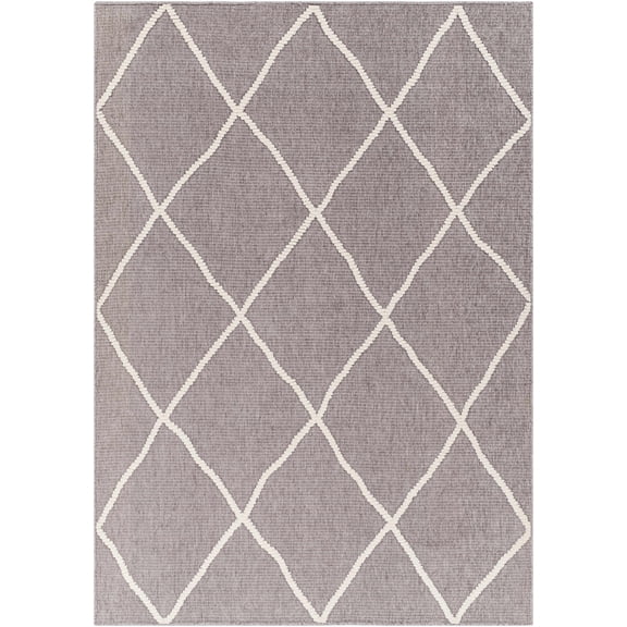 BoutiqueRugs Amani Bohemian, Transitional Area Rug - Machine Washable - Gray, Off White - 3'3" x 5'