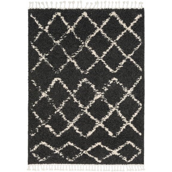 BoutiqueRugs Ayden Black Trellis Shag with Tassels Area Rug - Charcoal, Peach - 8'10" x 12'