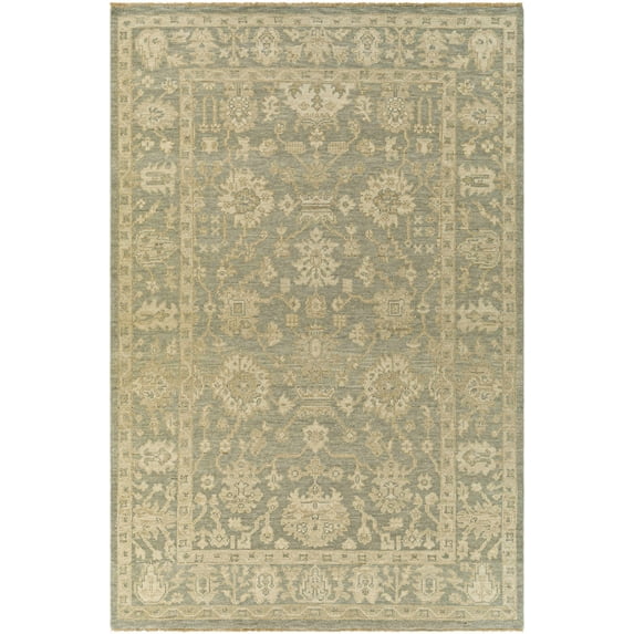 BoutiqueRugs Chalgrove Traditional Area Rug - Beige, Medium Gray, Light Brown - 6' x 9'