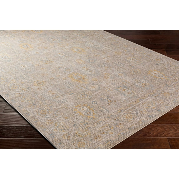 BoutiqueRugs Drika Traditional Area Rug - Taupe, Medium Gray, Tan - 5' x 7'5"