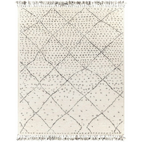BoutiqueRugs Halling Bohemian, Transitional Area Rug - Charcoal, Cream, Gray - 2' x 3'