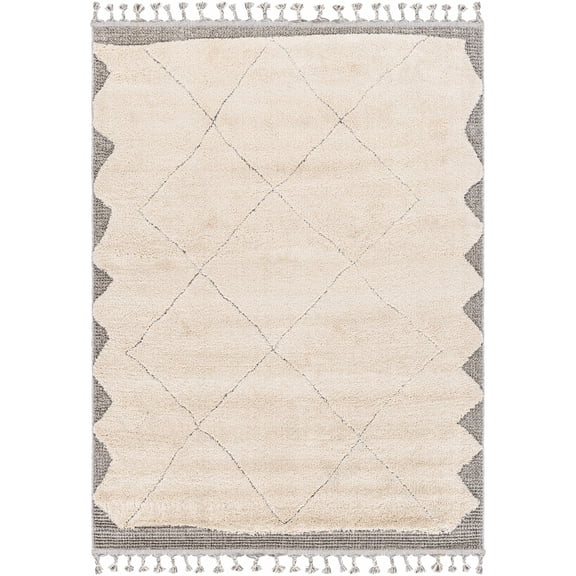 Boutique Rugs Metzger Bohemian, Transitional Area Rug - Peach, Charcoal, Gray - 9'6" x 12'