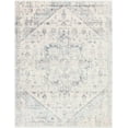 thumbnail image 1 of BoutiqueRugs Orrick Oriental Boho Vintage Area Rug - Farmhouse Traditional Patterned Carpet for Living Room, Bedroom - Pale Blue, Aqua, Cream, Brown - 7'10" x 10'3" (8x10), 1 of 18