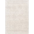 thumbnail image 1 of BoutiqueRugs Probus Traditional Area Rug - Medium Brown, Medium Gray, White - 4' x 6', 1 of 7