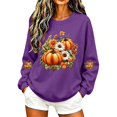 thumbnail image 1 of BovemsiWomen's Fashion Sweatshirts Casual Fall Cute Pumpkin Graphic Crewneck Long Sleeve Stretchy XXL, 1 of 4