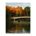 thumbnail image 1 of Bow Bridge in Autumn, Central Park - Manhattan New York Photography Autumn Bridge Boat Scenic Nature Water Landscape Unframed Wall Art Print 9 x 12 inches, 1 of 13