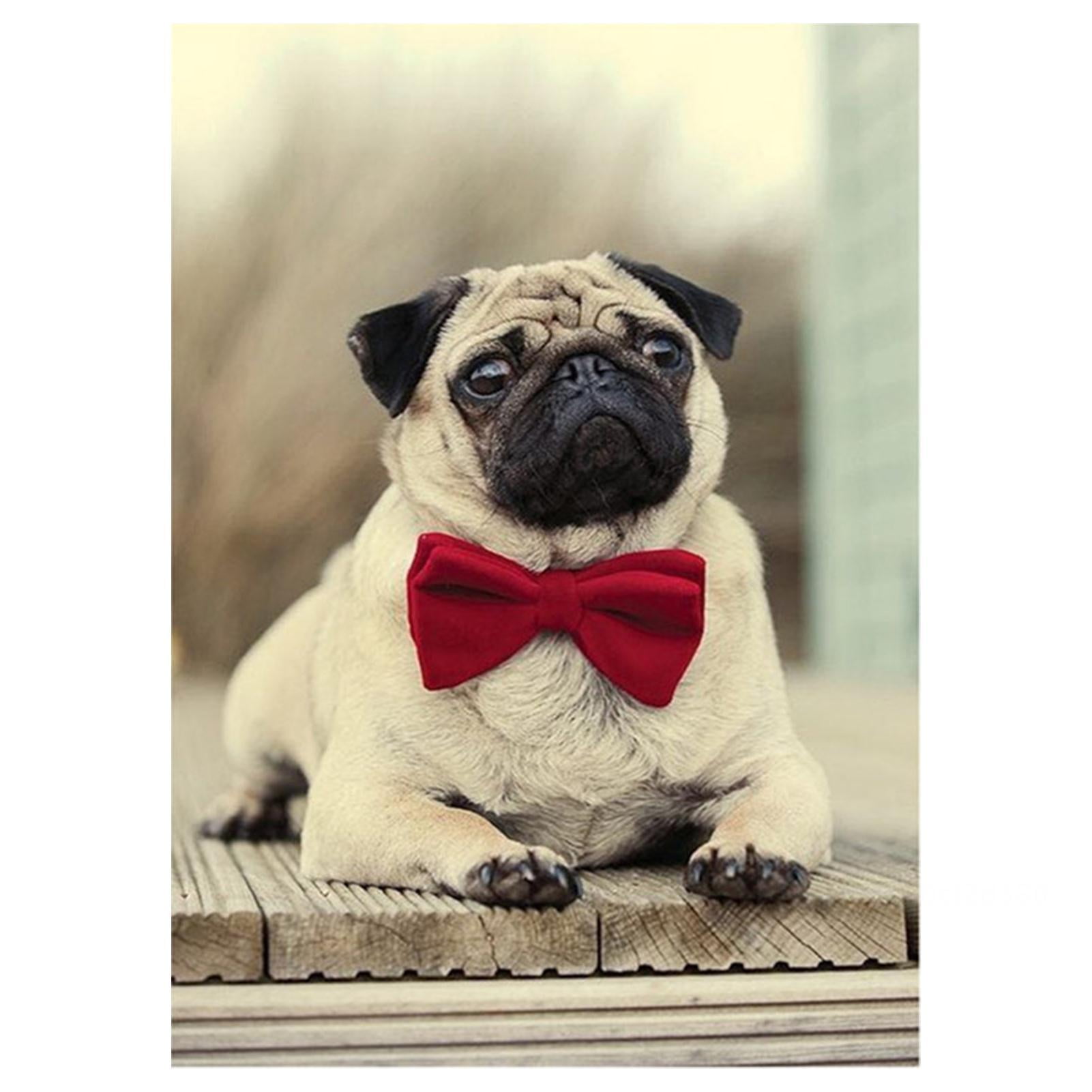 Pug with bow sales
