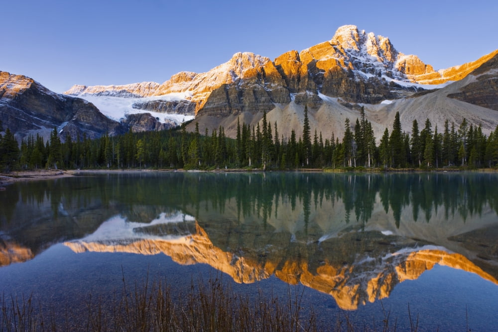 Bow Lake And Crowfoot Mountain At Sunrise Banff National Park Alberta Canvas Art - Yves Marcoux Design Pics (17 x 11)