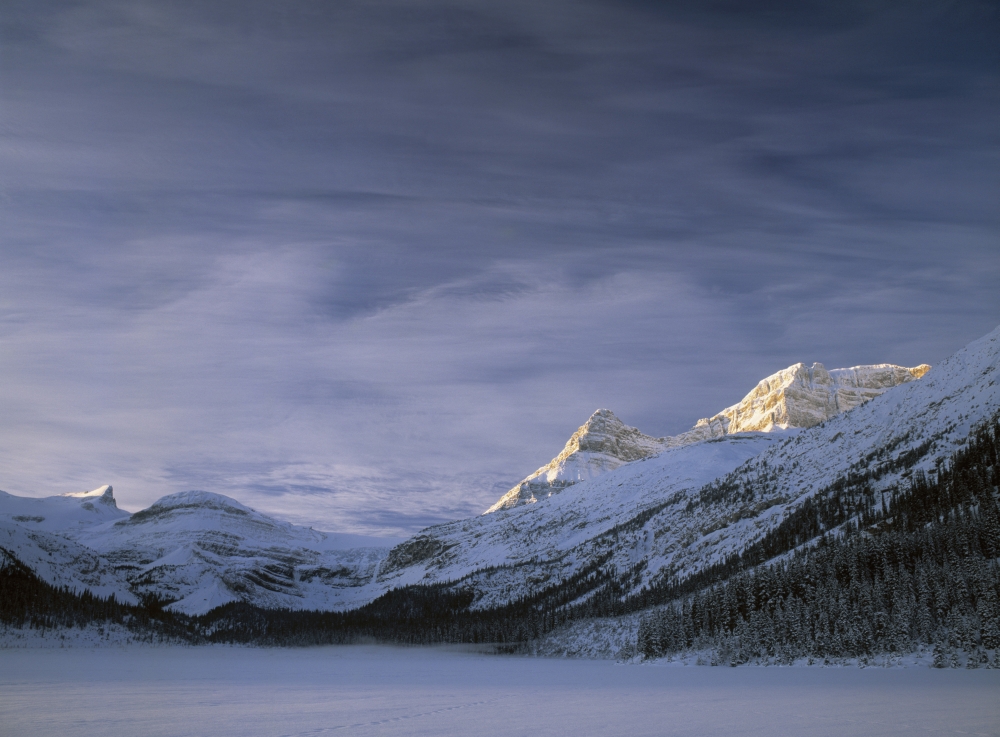 Bow Lake Bow Glacier And The Wapta Icefield Banff National Park Alberta Canada Canvas Art - Darwin Wiggett Design Pics (16 x 12)