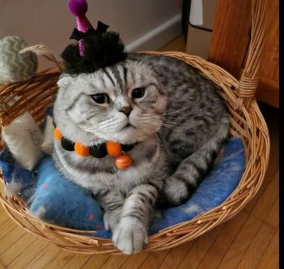 Bow Tie for Cats Cat Ties And Bow Tie for Dog Friday Dog Bow Tie for