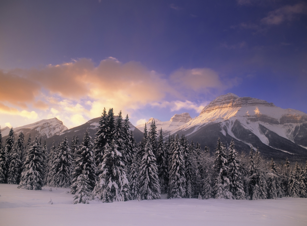 Bow Valley And The Massive Range Banff National Park Alberta Canada Canvas Art - Darwin Wiggett Design Pics (32 x 24)