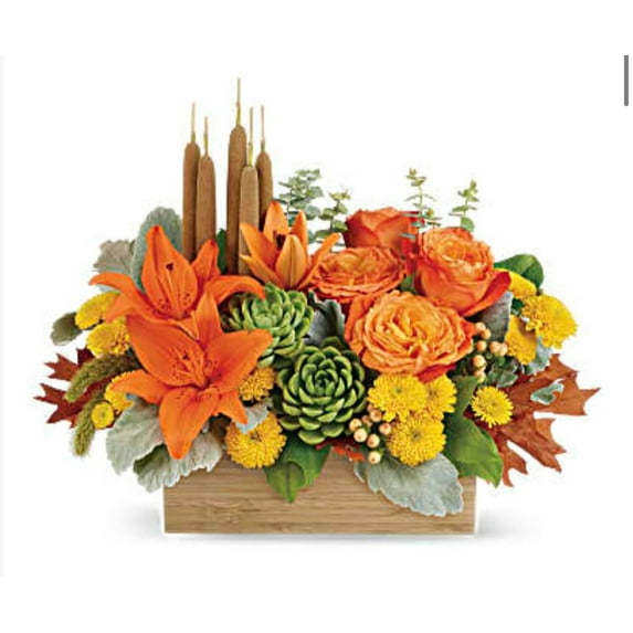 BowKay Designs LLC Fall Bamboo Garden