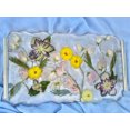 thumbnail image 1 of BowKay Designs LLC Spring Vanity Tray, 1 of 4