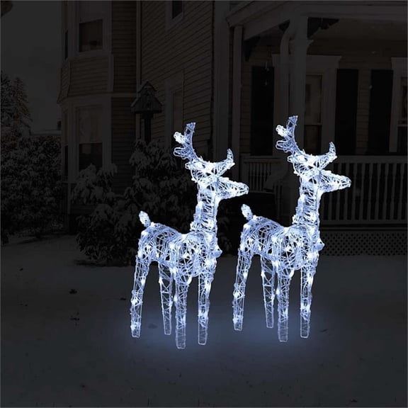 Bowery Hill Acrylic Decorative Inlays Christmas Reindeer Set of 2 in Cool White