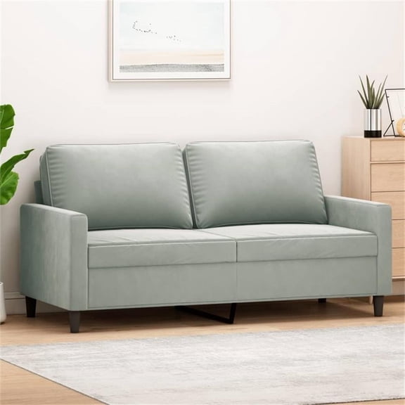 Bowery Hill Contemporary Metal 2-Seater Sofa in Light Grey Velvet