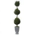 thumbnail image 1 of Bowery Hill Contemporary Triple Topiary in Aged Gray, 1 of 3