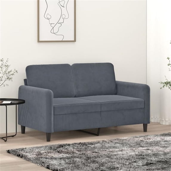 Bowery Hill Contemporary Velvet 2-Seater Sofa in Dark Gray Finish