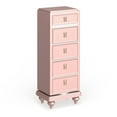 thumbnail image 1 of Bowery Hill Contemporary Wood Swivel Chest with Mirror in Rose Gold, 1 of 5