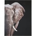 thumbnail image 1 of Bowery Hill Contemporary Wrapped Canvas Elephant Print in Gray, 1 of 1