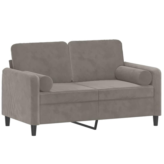 Bowery Hill Metal 2-Seater Sofa in Light Grey Polyester Velvet