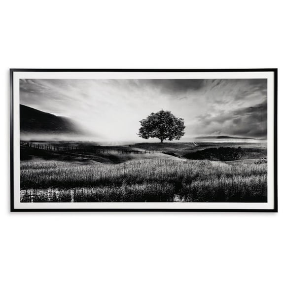 Bowery Hill Modern Acrylic Plastic Wall Art in Black and White