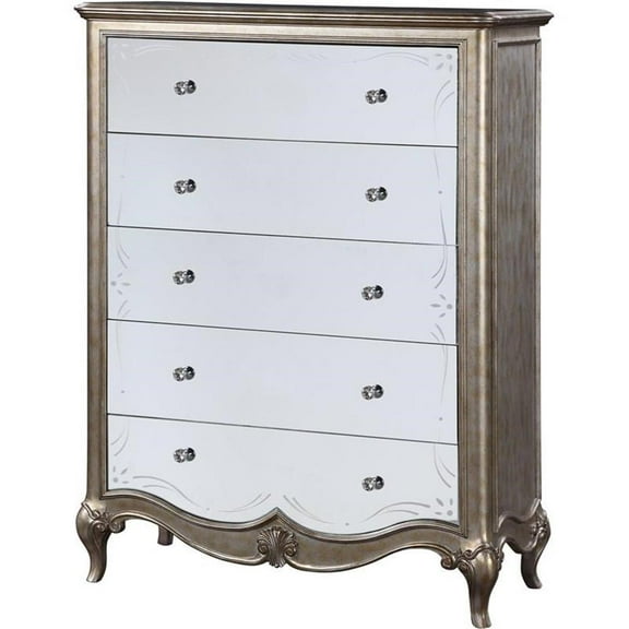 Bowery Hill Traditional Chest in Antique Champagne Silver Finish
