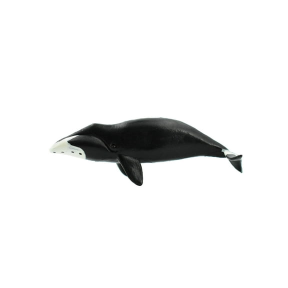 Bowhead Whale, Rubber Animal, Realistic Toy Figure, Model, Replica, Kids, Educational, Gift, 3 1/2" CH409 BB108