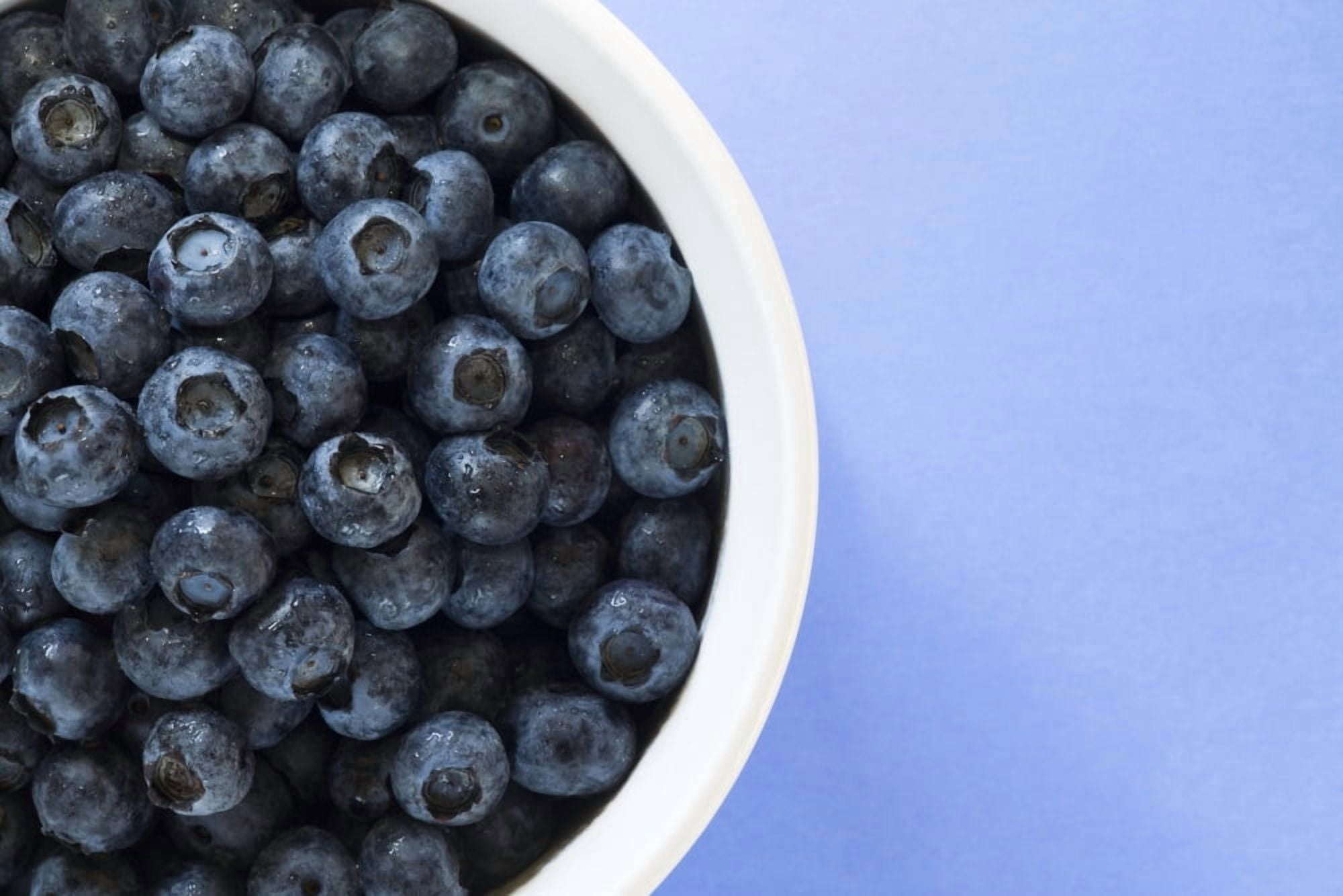 Bowl Of Blueberries Canvas Art - Steven Raniszewski Design Pics (17 x 11)