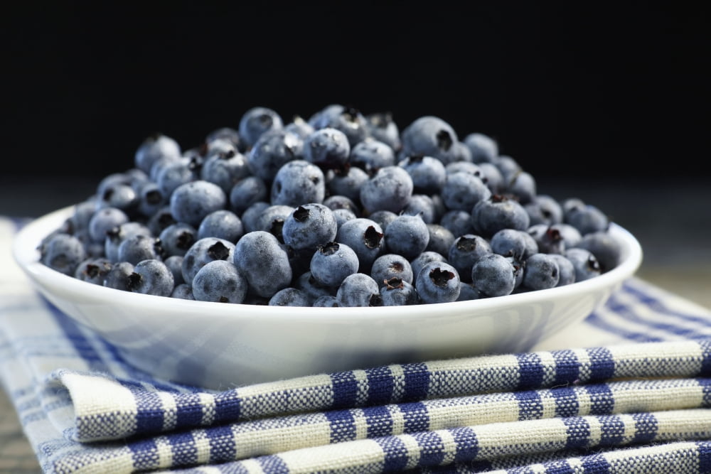 Bowl of blueberries Quebec Canada Canvas Art - Roderick Chen Design Pics (19 x 12)