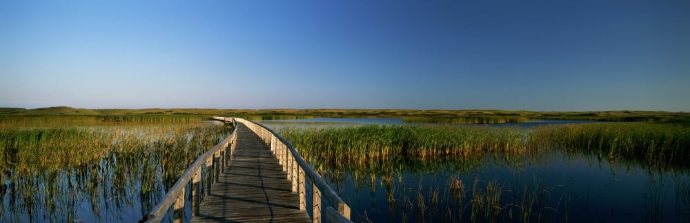 Bowley Pond Boardwalk Kings County Greenwich Prince Edward Island Canvas Art - Ron Watts Design Pics (36 x 12)