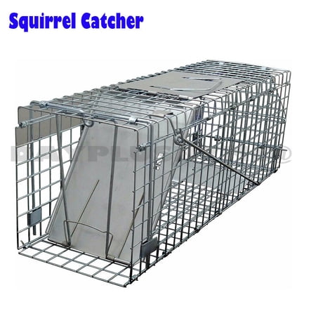 Bowoshen 24" Squirrel Trap Heavy Duty Metal Humane Live Vermin Pest Animal Large Cage Catcher