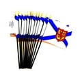 thumbnail image 1 of Box of 12 Nova Scotia 4"x6" Miniature Desk & Table Flags; 12 American Made Small Mini Nova Scotia Canadian Province Flags in a Custom Made Cardboard Box Specifically Made for These Flags, 1 of 1