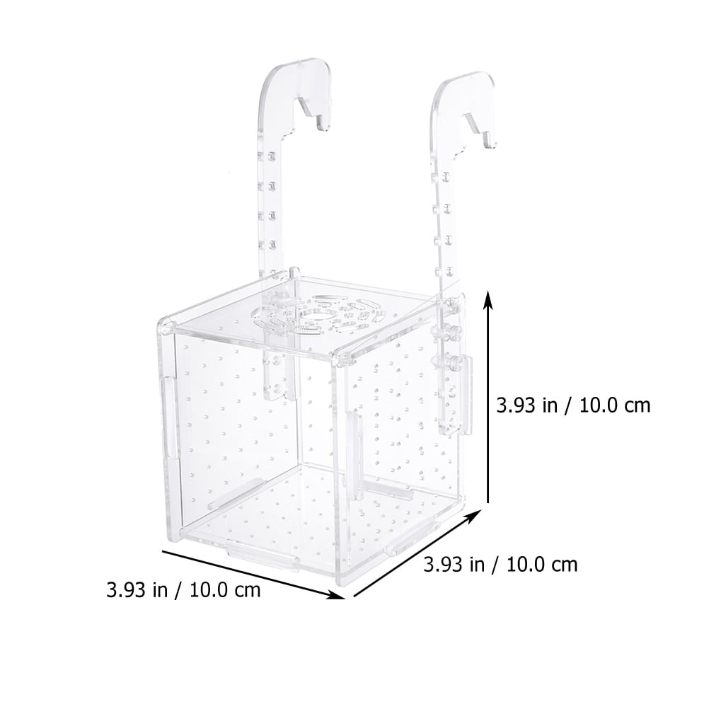 Box Fish Tank Shrimp Aquarium Hatching Breeder Breeding Boxes Fishes